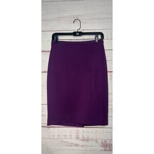 The Limited Purple A-Line Skirt Size 2